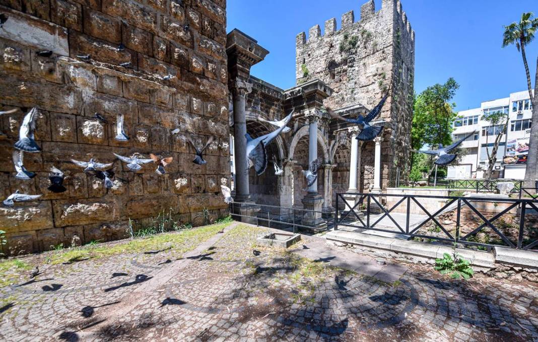 Güvercinleri sakın beslemeyin: Meğer çok tehlikeliymiş! Kimse bunu bilmiyordu, uzmanı detaylarıyla anlattı 23